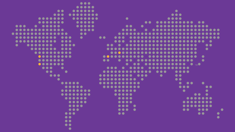 graphic image of the globe