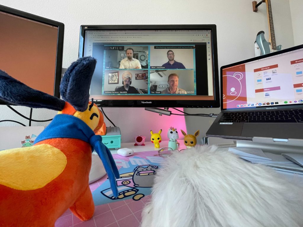 photo of dogs watching people on video conference