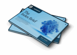 Image of booklet with "index brief" title